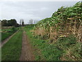 Footpath Looking South West