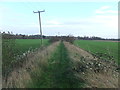 Footpath To Lakenheath