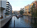 Kingsland Basin