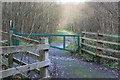 Footpath, bottom of Rhiw Syr Dafydd Hill, The Rock