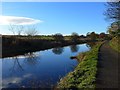 Tree reflections in the Forth & Clyde Canal