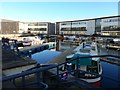 Canal boats in Southbank Marina, Kirkintilloch