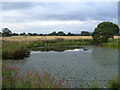 Small Pond near Sallom House Farm