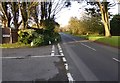 Looking north along Sea Lane