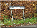 Pooley Street sign