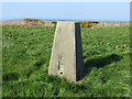 Field view at Wernllaeth Triangulation Pillar