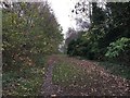 Newcastle-under-Lyme: route of former railway line