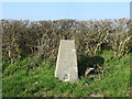 Hedge side Triangulation Pillar near Penfor-fach