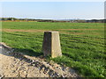 Field view from the track at the Triangulation Pillar near Hafodwnog Ucha