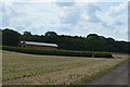 Barns, Mount Farm