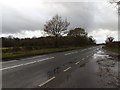 TM2176 : B1118 Chickering Road, Wingfield by Geographer