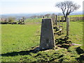 Field Fence, Gateway and Triangulation Pillar at Gilfachyfran