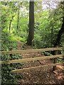 SX9065 : Barred path, Chapel Hill Pleasure Grounds by Derek Harper