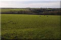 SP0008 : Farmland near Moor Wood Farm by Philip Halling