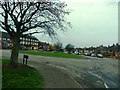 Shops and Houses in West Melton