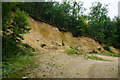 Small quarry in Witcombe Wood