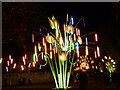 Garden of LightTILT (France), Durham Cathedral, Durham Lumiere