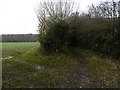 Path to Mereworth Woods