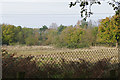 Fallow land near Yateley