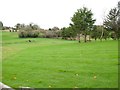 Greens at Crossgar Golf Club