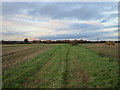 Path to Tuxford Road