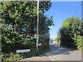 Lower Street, Whitchurch Canonicorum