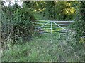 SY3696 : Barbed wire across path near Guppy by Derek Harper