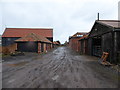 TM3556 : Blackstock Barn, Stone Farm, Blaxhall by Chris Holifield