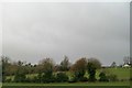 Sheep pasture west of the Belfast Road