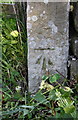 Benchmark on gatepost at west end of Carla Beck Lane