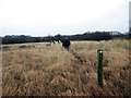 Llwybr ger Rhos Cefn Bryn / Path near Rhos Cefn Bryn