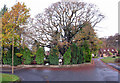 St Thomas Well, wide view