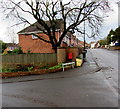 Tree and boxes on a Shifnal corner