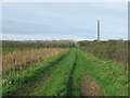 Footpath And Common Wood