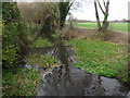 River Ivel north of Stotfold Mill