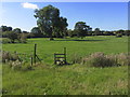 SJ6946 : Stile on S Cheshire Way, NE of Bearcat Fields, Hatherton by Colin Park