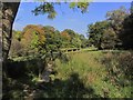 Gritstone Trail near Barleighford Farm near Bosley