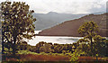 Loch Goil branching off Loch Long, seen from above Portincaple