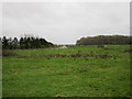 Perimeter road and Bushey End Wood