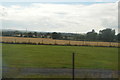 Farmland near Normanton on Soar