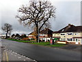 Trees, houses and postbox, Station Road, Albrighton