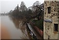SE5951 : Floods in York by Dave Pickersgill