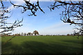 Field near Bishopstone