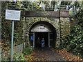 The western end of Combe Down Tunnel, Two Tunnels Greenway, Bath