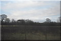 Farmland on the edge of Chichester