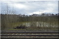 Pond, Alvecote Meadows