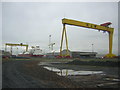 J3575 : View into the Harland and Wolff yard from the south, Queen's Island, Belfast by Christopher Hilton