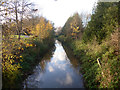 Great Stour, Ashford,  looking upstream