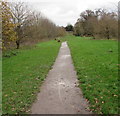 Path through Donington & Albrighton Local Nature Reserve