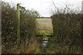 Footpath to Upton Snodsbury